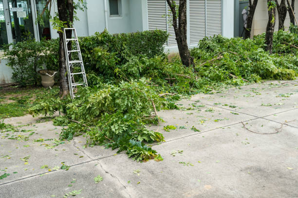 Artificial Turf Installation in Monterey Park, CA